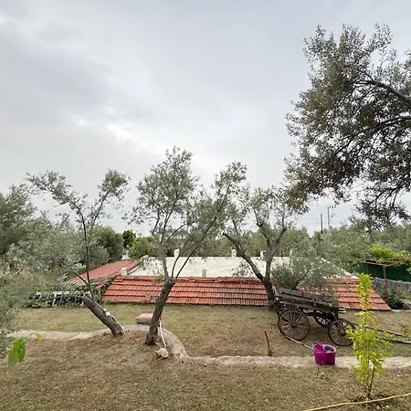 Frühstückspension Sazli Shores