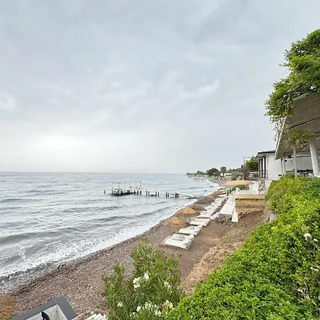 Sazli Shores Frühstückspension Ayvacik (Canakkale)